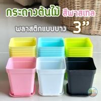 ราคา กระถางต้นไม้ 3 นิ้ว จานรอง 3 ใบ พลาสติกแบบบาง รุ่นประหยัด มีสีพาสเทล ขาว ดำ สำหรับปลูกต้นไม้ขนาดเล็ก แคคตัส (18081448430)