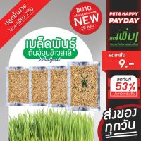 ราคา เมล็ดพันธุ์ต้นอ่อนข้าวสาลี 25 กรัม เมล็ดพันธุ์หญ้าแมว แถมวิธีปลูก (20790284512)