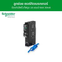 ราคา Schneider เซอร์กิตเบรกเกอร์ลูกย่อย กันดูด ป้องกันไฟรั่ว ไฟดูด ชนิด 1 โพล ขนาด 16A 6kA 30mA รหัส QO116C06RCBO30 (8286775571)