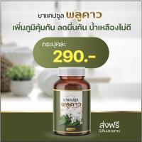 ราคา พลูคาวสกัดแคปซูล 1กระปุก 290 สมุนไพรแท้100 ลดคันเสริมภูมิคุ้มกัน (24613336110)