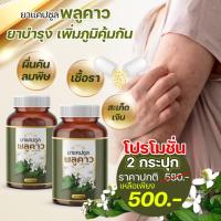 ราคา พลูคาวสกัดแคปซูล 1กระปุก500 ลดคันเสริมภูมิคุ้มกัน สมุนไพรแท้100 (25413333274)