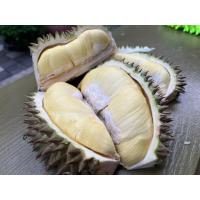 ราคา หมอนทองจิ๋ว 金枕头 小号 ทุเรียนหมอนทองจันทบุรี ทุเรียนพันธุ์ จิ๋ว ไซส์เล็กน่ารัก (25027042284)