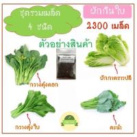 ราคา เมล็ด ผักพื้นบ้าน ผักสวนครัว ชุดรวม2300เมล็ด คะน้า ผักกาดขาวปลี กวางตุ้งดอก กวางตุ้งใบ (6955205915)