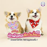 ราคา ผ้าพันคอสัตว์เลี้ยง I m So Hungry ผ้าพันคอหมาแมว ทรงสามเหลี่ยม พร้อมส่ง (22053163110)