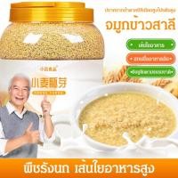 ราคา น้ำตาลต่ำ จมูกข้าวสาลีรสดั้งเดิม ไม่มีน้ำตาล ซีลีเนียมสูง โปรตีนสูง โภชนาการทดแทนมื้ออาหารลดไขมัน (22776069130)