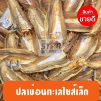 ราคา ปลาช่อนทะเล ตากแห้ง ไซส์เล็ก (23754937355)