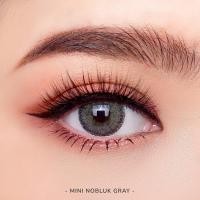 ราคา Mini Nobluk Gray Limited เลนส์สาย ฝอ (10150929691)