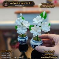 ราคา มะลิ 5 ดอก จัดลงกระถางจิ๋ว ถวายแม่นางกวัก สูง 4 5 นิ้ว ราคา คู่ (22462885563)