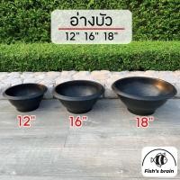 ราคา กระถางชวนชม อ่างบัว อ่างพลาสติก กาละมัง ขนาด 12 16 18 (24422929388)