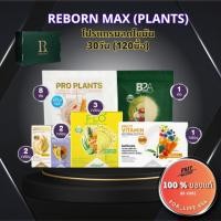 ราคา Reborn Max Plants by Legacy รีบอร์น โปรแกรมลดไขมัน 30วัน ของแท้ มีQR reborn legacy เลกาซี่ (22364504010)