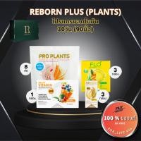 ราคา Reborn Plus Plants by Legacy โปรแกรมลดไขมัน ทานได้ 30วัน ของแท้ reborn รีบอร์น legacy เลกาซี่ (25427996098)