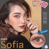 ราคา Mini Sofia Brown ค่าสายตา 2 00 2 25 Kitty kawaii ฟรี ตลับใส่คอนแทคเลนส์ คอนแทคเลนส์รายเดือน (22430762854)