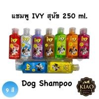ราคา แชมพูสุนัข ไอวี่ 250 ml Ivy Dog Shampoo (25962324978)