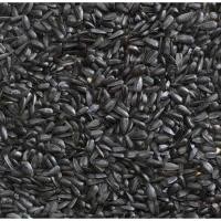 ราคา ทานตะวันดำ 1Kg เม็ดทานตะวัน อาหารนก อาหารนกฟอพัส อาหารนกหงส์หยก อาหารสำหรับนกขนาดเล็ก เม็ดทานตะวันเม็ดเล็ก (24870038890)