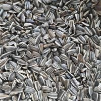 ราคา ทานตะวันฮังการี 1Kg เม็ดทานตะวัน อาหารนก อาหารนกฟอพัส อาหารนกหงส์หยก อาหารสำหรับนกขนาดเล็ก เม็ดทานตะวันเม็ดเล็ก (24270047754)