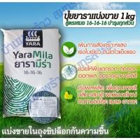 ราคา แบ่งขาย1kg ปุ๋ยเคมี สูตรเสมอ 16 16 16 ปุ๋ยยารา เรือใบ ปุ๋ยยูเรีย เร่งใบเขียว ลำใหญ่ แตกดอก ออกผลมาก เหมาะพืชทุกช่วงวัย (24211031844)
