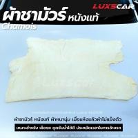 ราคา ผ้าชามัวร์ หนังแท้ ซับน้ำดี ผืนใหญ่ เกรดพรีเมียม chamois platinum (19871157906)