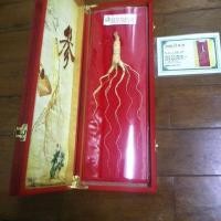 ราคา โสมจีน สมุนไพรบำรุงร่างกาย (2765282799)