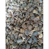 ราคา เมล็ดพยุงไหหลำ 50เมล็ด 10กรัม เก็บใหม่ของปีนี้ (4336614623)