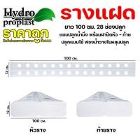 ราคา รางปลูกผักไฮโดรโปนิกส์ รุ่นรางแฝด เจาะ 28 หลุมปลูกแบบปิดฝาหัว ท้าย (25831473564)