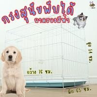 ราคา กรงพับสุนัข กรงพับเบอร์2 (25421530408)