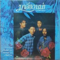 ราคา แผ่นเสียง วง มาลีฮวนน่า Growing Pain (23702033184)