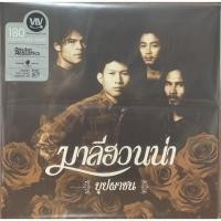 ราคา แผ่นเสียง วง มาลีฮวนน่า (11620837956)