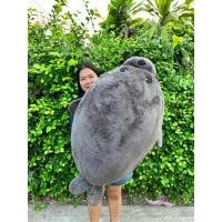 ราคา อุ๋งอุ๋ง แมวน้ำ (18113314913)