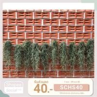 ราคา ต้นเคราฤาษีพร้อมลวดแขวน หนวดฤาษีหรือมอสสเปน ความยาว 25 30 เซนติเมตร Spanish moss เคราฤาษีกันฝุ่น (2628209492)