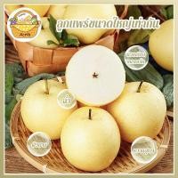 ราคา สาลี่หิมะ สาลี่เกาหลี สาลี่น้ำผึ้ง Sweet Pear แพร์สด ผลไม้สด ผลไม้ตามฤดูกาล แพร์หวานกรอบ แพร์ขาวกรอบ หวานฉ่ำ (25771530128)