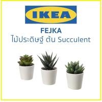 ราคา IKEA อิเกีย ไม้ประดิษฐ์ในกระถาง กระถาง ต้น Succulent FEJKA (25178462481)