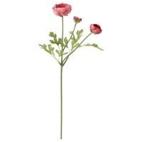 ราคา IKEA อิเกีย ของแท้ ขายถูกมากๆ ดอกไม้ประดิษฐ์ SMYCKA ดอก Ranunculus ชมพูเข้ม 52 ซม (28903494338)