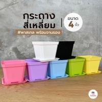 ราคา กระถางสี่เหลี่ยม พาสเทล พร้อมจานรอง กระถางแคคตัส กระถางกระบองเพชร กระถางพลาสติก (24979665382)
