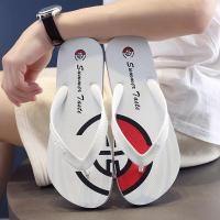 ราคา 2024 สไตล ์ ใหม ่ ผู ้ ชาย Flip Flops ฤดูร ้ อน Anti Slip รองเท ้ าแตะกลางแจ ้ ง Flip Flops Flip Flops ผู ้ ชาย Flip (28101380434)