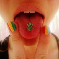 ราคา จิวใส่ลิ้น ใบกัญ Marijuana Tongue Piercing Stud จิวลิ้น Sexy Maple Leaf Barbell Tongue Piercing Ring 14G Stainless Steel (18420105703)