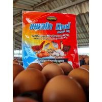 ราคา วิตามินบำรุงไก่ แพคโก มิกซ์ pacco mix บำรุงไก่ไข่ เป็ดไข่ นกระทาไข่ (25312660977)