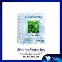 ราคา กิฟฟารีน ฟ้าทะลายโจร ชนิดแคปซูล ฟ้าทะลายโจร 400 มิลลิกรัม เลขทะเบียนที่ G207 43 (19224438139)