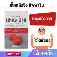 ราคา เห็ดหลินจือแดงสกัด กิฟฟารีน LING ZHI MUSHROOM GIFFARINE บำรุงร่างกาย บำรุงไต เสริมสร้างระบบภูมิคุ้มกัน (28203877567)