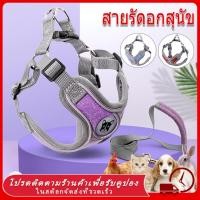 ราคา พร้อมส่ง สายรัดอกสุนัข สายรัดอก สายจูงสุนัข พันธุ์กลาง ใหญ่ หลายสี หลายไซส์ สายจูงหมา จูงสัตว์เลี้ยง สวยมาก ระบายความร้ (27504220715)
