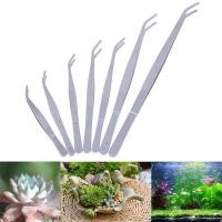 ราคา Forcep ที่คีบฟอเซปสเเตนเลส ตกแต่งตู้ปลา ตกเเต่งจานอาหาร ให้อาหารสัตว์ ที่คีบเพชร คีมหนีบ ที่คีบต้นไม้ ต้นกระบองเพชร (16800724438)