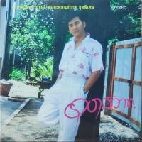 ราคา แผ่นเสียง ดนุพล แก้วกาญจน์ แจ้ (24671321309)
