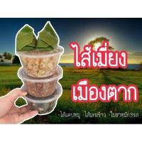 ราคา ไส้เมี่ยง เมืองตาก ไส้เมี่ยงสมุนไพร ไส้แคบหมู ไส้มะพร้าว ใบชาหมัก3รส อร่อย รสชาติเปรี้ยวหวานมัน เคี้ยวเพลิน (23126302616)