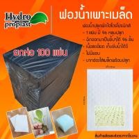 ราคา ฟองน้ำสำหรับเพาะเมล็ด ปลูกผักไฮโดรโปนิกส์ ยกแพ็ค 100 แผ่น (28952058181)