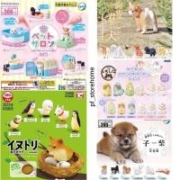 ราคา รวมกาชาปองน้องหมาแบบครบเซต กาชาปองน้องหมาหลากหลายพันธุ์ Dog gashapon (3357834767)