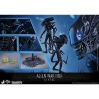 ราคา พร้อมส่ง HOT TOYS ALIEN MMS354 ALIEN (22934913102)