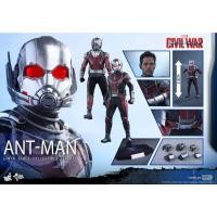 ราคา พร้อมส่ง HOT TOYS ANT MAN MMS362 CAPTAIN AMERICA CIVIL WAR (26703249498)