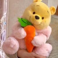 ราคา หัวไชเท้า พูห์ ตุ๊กตาของเล่นตุ๊กตาหมีพูห์หมีพูห์ของขวัญรับปริญญาหมีพูห์ (29355666275)
