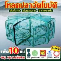 ราคา จับปลาะกุ้งได้หมด อาหารปลาฟรี ตาข่ายดักปลา 6 8 ช่อง ที่ดักกุ้งฝอย มุ้งดักปลา กระชังดักปลา อุปกรณ์ตกปลา อวนจับปลา (23985984093)