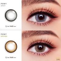 ราคา คอนแทคเลนส์ บิ๊กอาย Pony Chestnut Gray Wink ลายฮิต ขายดีมาก กรองแสงกันยูวี (24159032281)