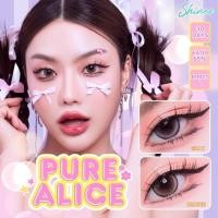 ราคา คอนแทคเลนส์ บิ๊กอาย Pure Alice Brown Gray Shinee ลายฮิต ขายดีมาก กรองแสงกันยูวี (24461530743)